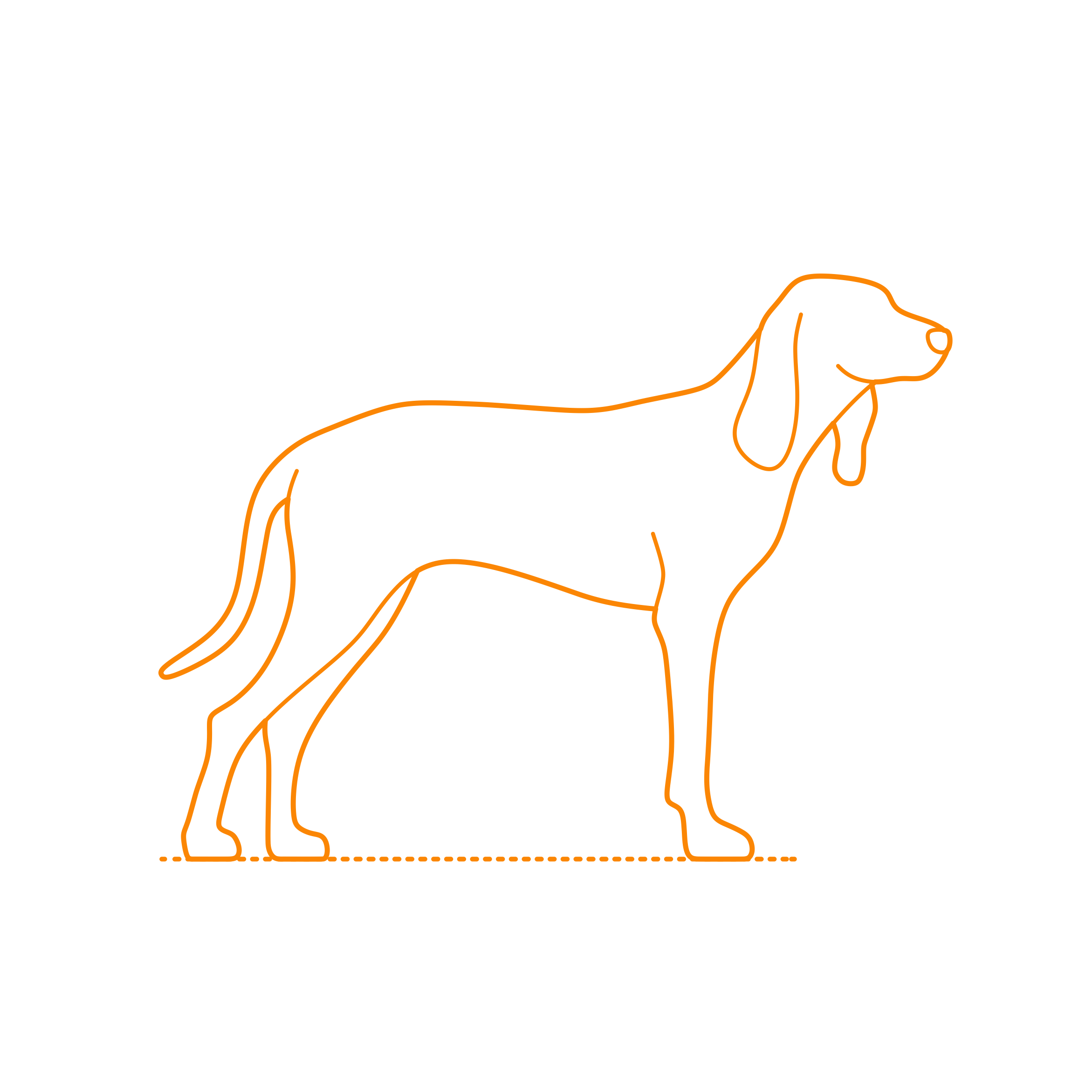 Animals Dogs Segugio Italiano Laser Cut Svg File Free Vectors